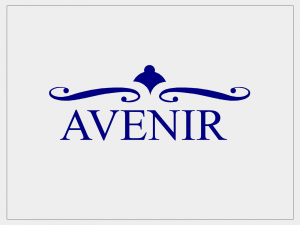 柏・我孫子で美容室・ネイル・マツエクを展開している「AVENIR（アブニール）」のニュース記事「テスト」